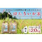 【ほたるいか米】精米　20kg(10kg×2袋)