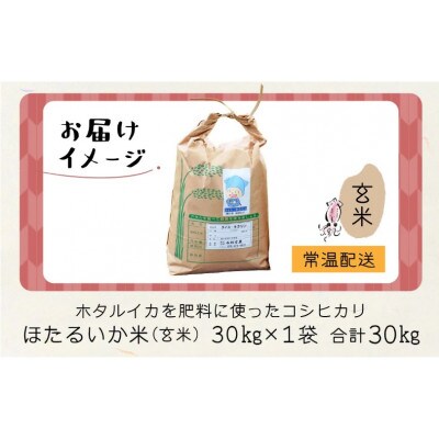 【ほたるいか米】玄米　30kg