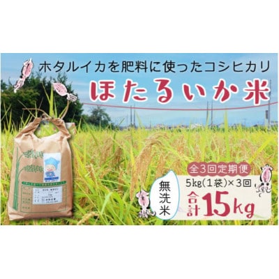 【毎月定期便】ほたるいか米　無洗米　5kg全3回
