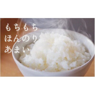 【毎月定期便】ほたるいか米　無洗米　5kg全3回
