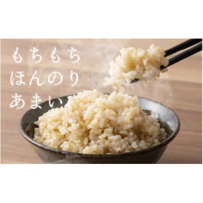 【毎月定期便】ほたるいか米　玄米　10kg全3回