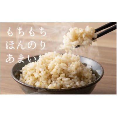 【毎月定期便】ほたるいか米　玄米　20kg全3回