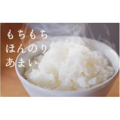 【毎月定期便】ほたるいか米　無洗米　10kg全3回