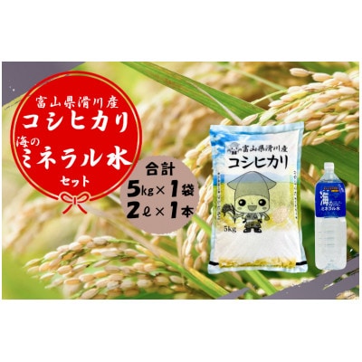 滑川産コシヒカリ(精米5kg)&海のミネラル水セット
