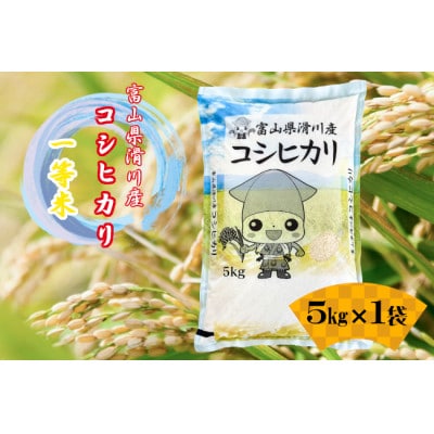 ����Y�R�V�q�J��(�ߘa7�N�Y�V��/����)5kg