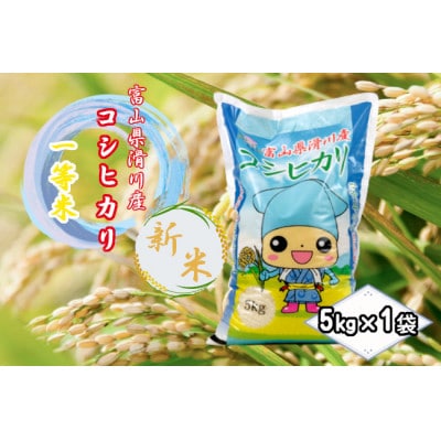 滑川産コシヒカリ(令和7年産新米/精米)5kg