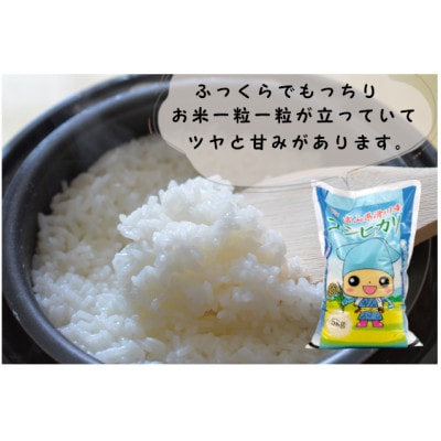 滑川産コシヒカリ(令和7年産新米/精米)5kg