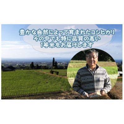 滑川産コシヒカリ(令和7年産新米/精米)5kg
