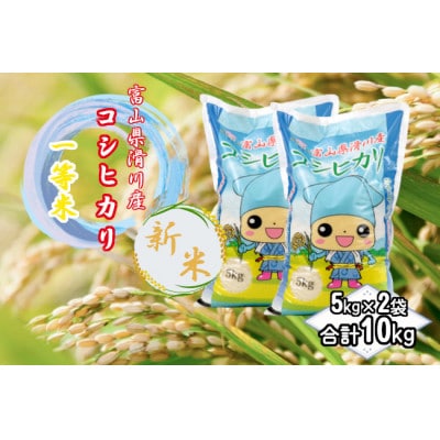 滑川産コシヒカリ(令和7年産新米/精米)10kg