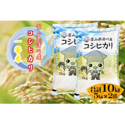 滑川産コシヒカリ(令和7年産新米/精米)10kg