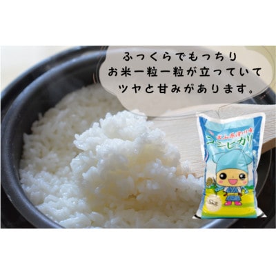 滑川産コシヒカリ(令和7年産新米/精米)10kg