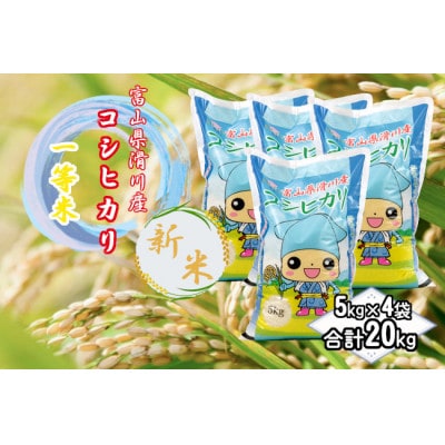 滑川産コシヒカリ(令和7年産新米/精米)20kg