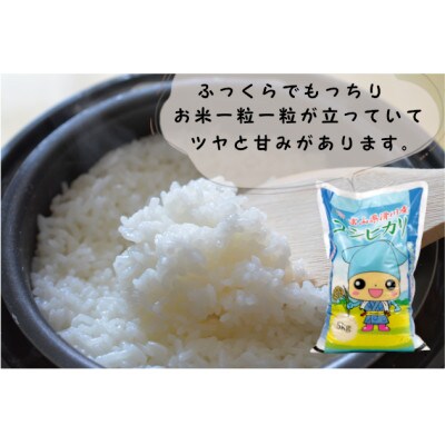 滑川産コシヒカリ(令和7年産新米/精米)20kg