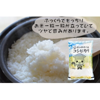 滑川産コシヒカリ(令和7年産新米/精米)20kg