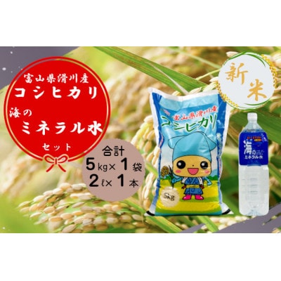 滑川産コシヒカリ(令和7年産新米/精米5kg)・海のミネラル水セット