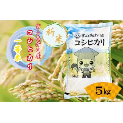 滑川産コシヒカリ(令和8年産新米/精米)5kg