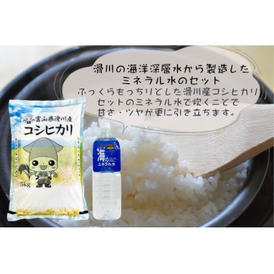 【毎月定期便】コシヒカリ(5kg)&海のミネラル水セット全6回