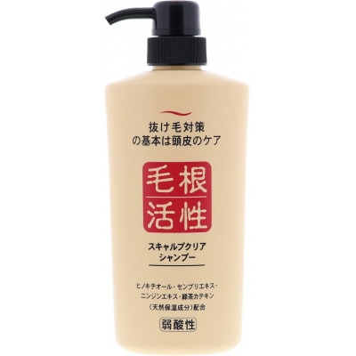 スキャルプクリアシャンプー550ml×3本・トリートメント250g×3本セット