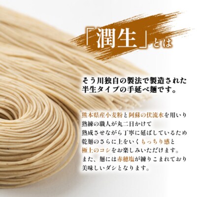 潤生ごぼうめん8食入り