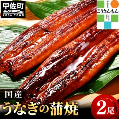 ★贈答用(化粧箱入り)★熊本県産うなぎの蒲焼き 2尾【300g以上】タレ・山椒付き