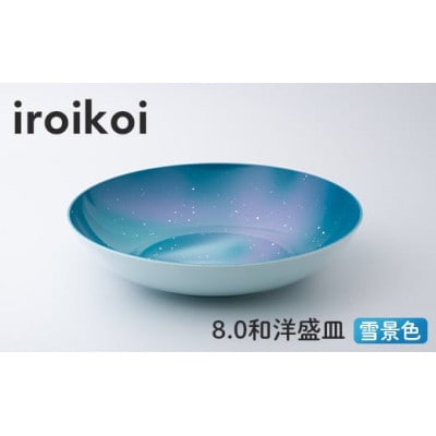 iroikoi 8.0 和洋盛皿 雪景色