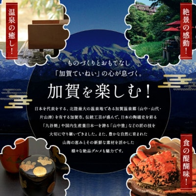 山中漆器 手描きまめ皿 福やさい 5枚 セット