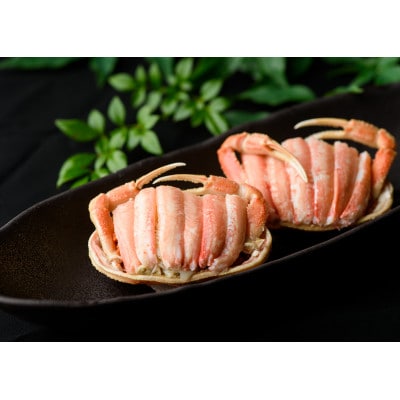 【先行予約】【冷蔵発送】香箱ガニ　甲羅盛り(10杯入り)2024年11月上旬以降発送
