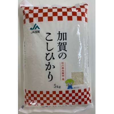 石川県加賀市産　こしひかり5kg(令和6年産)