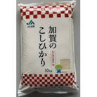 石川県加賀市産　こしひかり10kg(令和6年産)