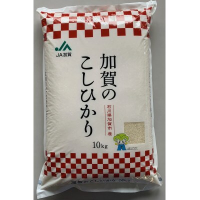 石川県加賀市産　こしひかり10kg(令和6年産)