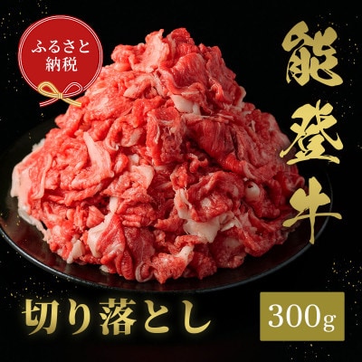 【和牛セレブ】能登牛 切り落とし 300g