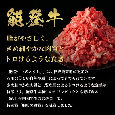 【和牛セレブ】能登牛 切り落とし 300g