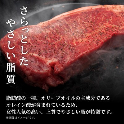 【和牛セレブ】能登牛 サーロインステーキ 240g×4枚