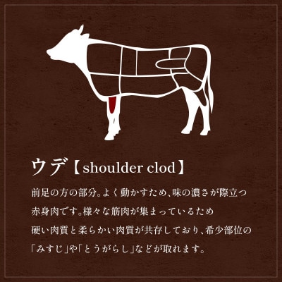 【和牛セレブ】能登牛 牛肩(うで) すき焼き・しゃぶしゃぶ 250g