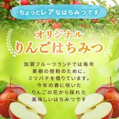 オリジナル加賀のりんごはちみつ　130ml×2本
