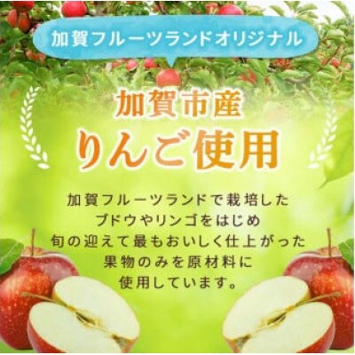 オリジナルりんごのスパークリングワイン　750ml×1本