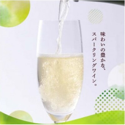 オリジナルりんごのスパークリングワイン　750ml×1本