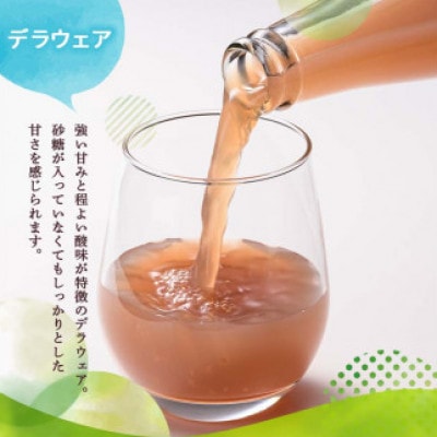 オリジナルジュース　500ml×2本