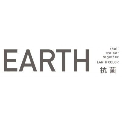 アースカラー　抗菌角ランチプレート2P　16980