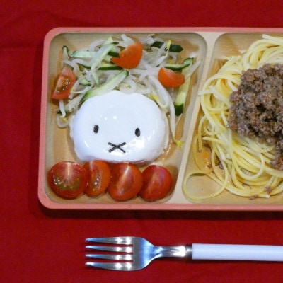 アースカラー　抗菌角ランチプレート2P　16980