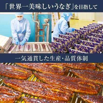 うなぎ蒲焼3尾(さんしょう・たれ付き)計600g以上 鰻 国産_T026-002