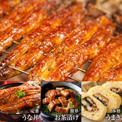 うなぎ蒲焼3尾(さんしょう・たれ付き)計600g以上 鰻 国産_T026-002