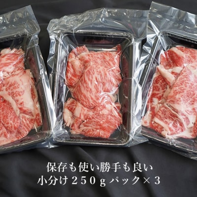 【定期便3ヶ月】 淡路牛 ロース切り落とし 750g (250g×3パック)　ao05860