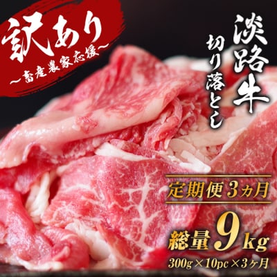【訳あり】【定期便3ヶ月】淡路牛 切り落とし 3㎏ (300g×10パック)　ao05864