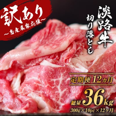 【訳あり】【定期便12ヶ月】淡路牛 切り落とし 3㎏ (300g×10パック)　ao05866