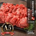 【A5ランク限定】淡路島産黒毛和牛 切り落とし 500g　aa16022