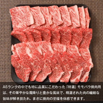 【A5ランク限定】淡路島産黒毛和牛 『特選』モモバラ焼肉用 500g　aa16027