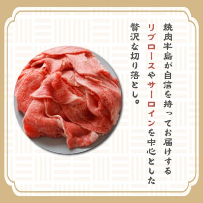 【定期便6ヶ月】淡路牛 贅沢切り落とし 1kg (250g×4PC)　ay08003