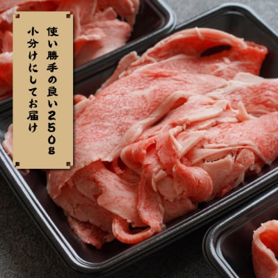 【定期便6ヶ月】淡路牛 贅沢切り落とし 1kg (250g×4PC)　ay08003