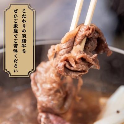 【定期便6ヶ月】淡路牛 贅沢切り落とし 1kg (250g×4PC)　ay08003